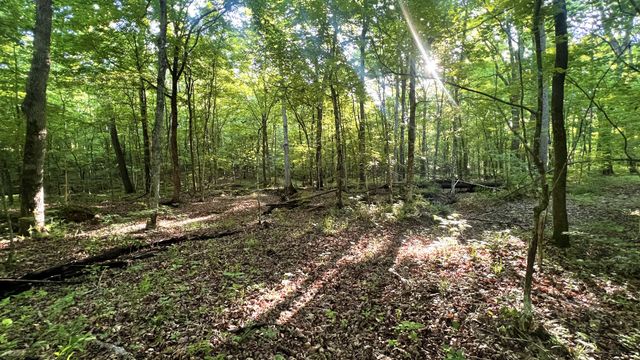 0 Seven Mile Ridge Rd, Indian Mound, TN 37079
