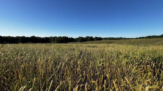 0 Seven Mile Ridge Rd, Indian Mound, TN 37079
