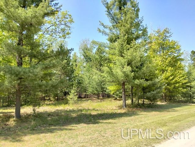 10441 Breezy R.22 Lane, Rapid River, MI 49878