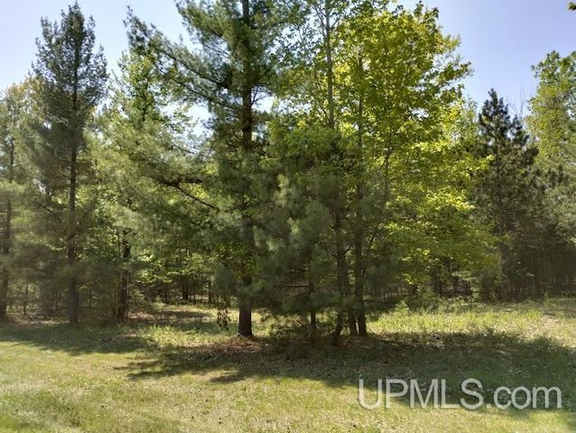 10441 Breezy R.22 Lane, Rapid River, MI 49878