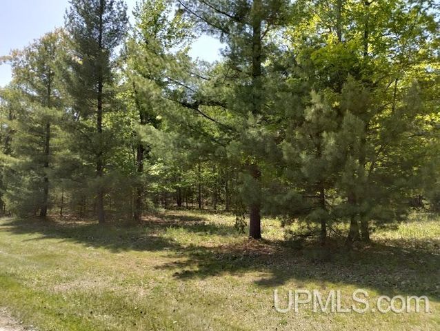 10441 Breezy R.22 Lane, Rapid River, MI 49878