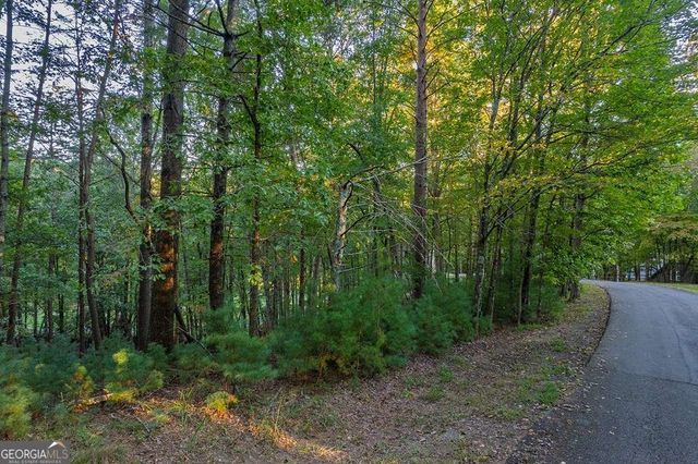 228 Toccoa Court 228, Ellijay, GA 30540