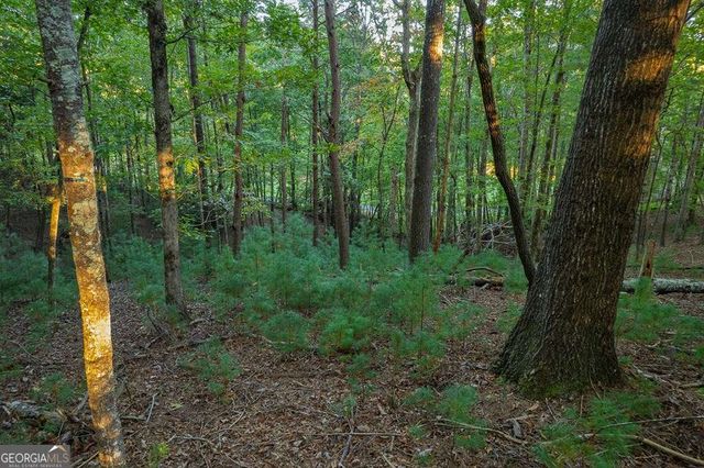 228 Toccoa Court 228, Ellijay, GA 30540