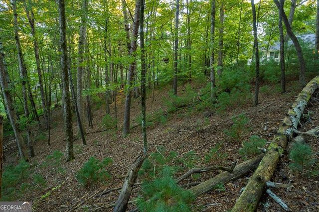 228 Toccoa Court 228, Ellijay, GA 30540