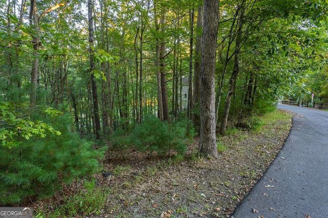 228 Toccoa Court 228, Ellijay, GA 30540