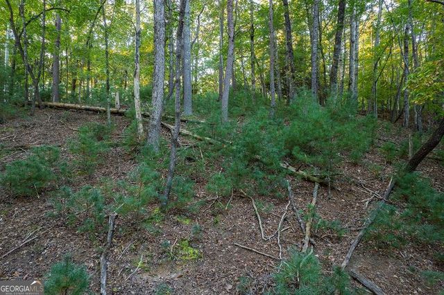 228 Toccoa Court 228, Ellijay, GA 30540