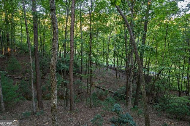 228 Toccoa Court 228, Ellijay, GA 30540