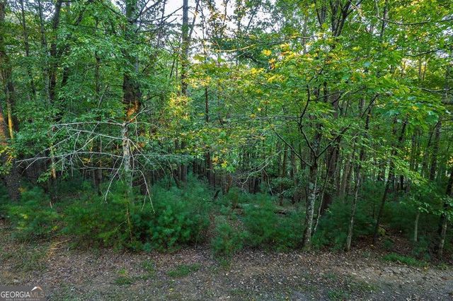 228 Toccoa Court 228, Ellijay, GA 30540