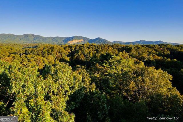 228 Toccoa Court 228, Ellijay, GA 30540