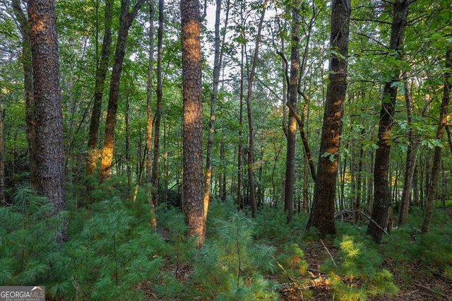 228 Toccoa Court 228, Ellijay, GA 30540