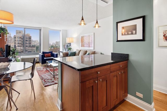 450 W Briar Place 8N, Chicago, IL 60657