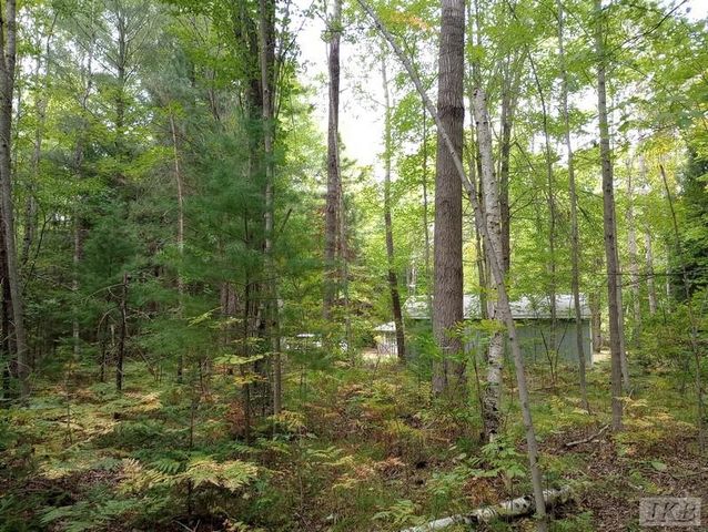 1701 S River Road, Beaverton, MI 48612