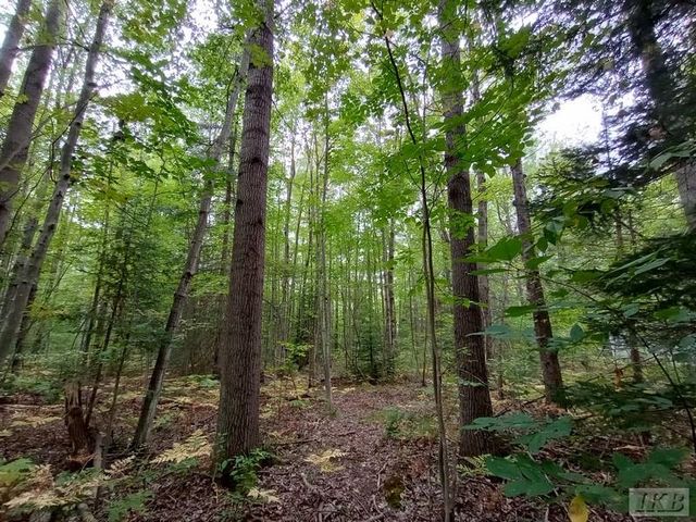 1701 S River Road, Beaverton, MI 48612