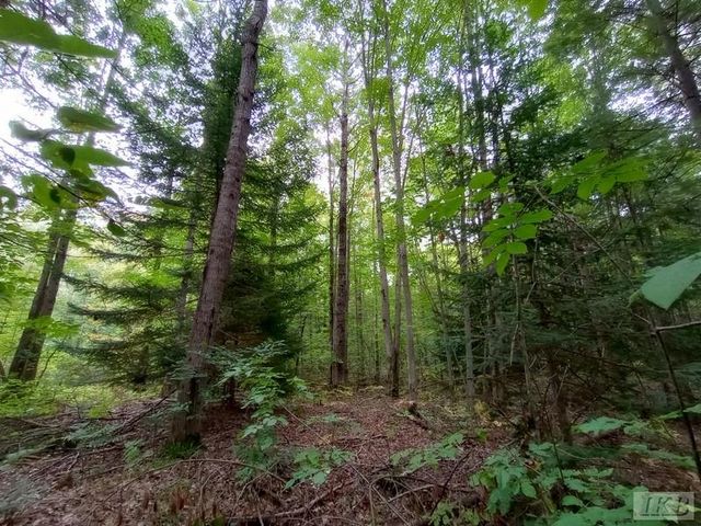 1701 S River Road, Beaverton, MI 48612