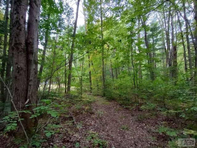 1701 S River Road, Beaverton, MI 48612