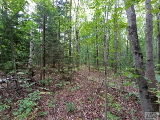 1701 S River Road, Beaverton, MI 48612