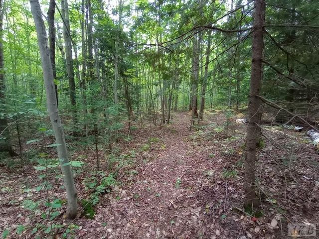 1701 S River Road, Beaverton, MI 48612