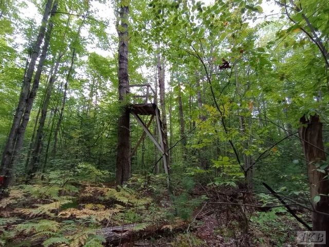 1701 S River Road, Beaverton, MI 48612