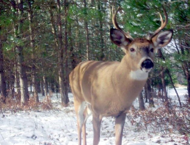 1701 S River Road, Beaverton, MI 48612