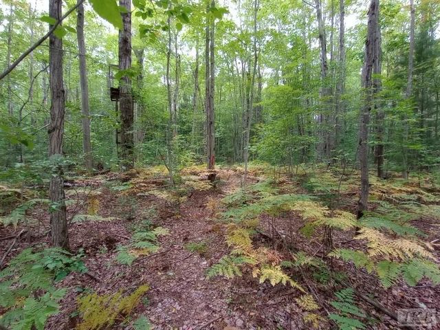 1701 S River Road, Beaverton, MI 48612