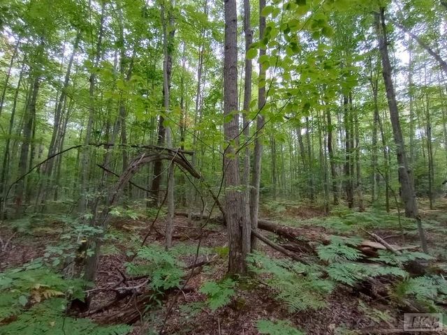 1701 S River Road, Beaverton, MI 48612