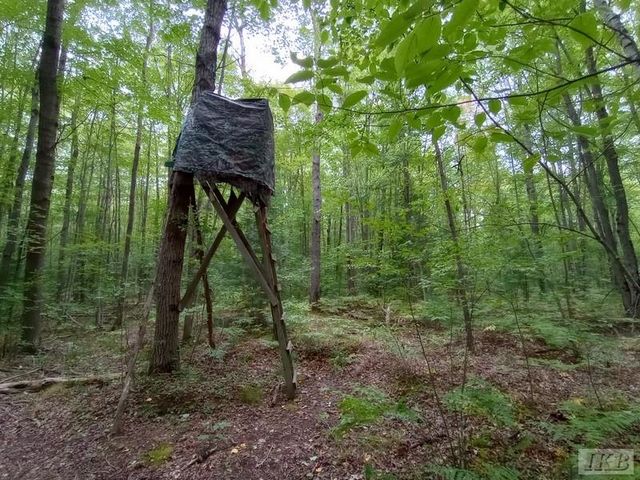 1701 S River Road, Beaverton, MI 48612