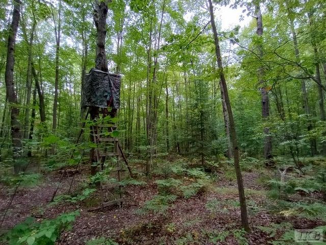 1701 S River Road, Beaverton, MI 48612