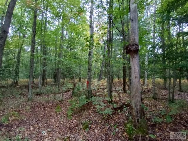 1701 S River Road, Beaverton, MI 48612