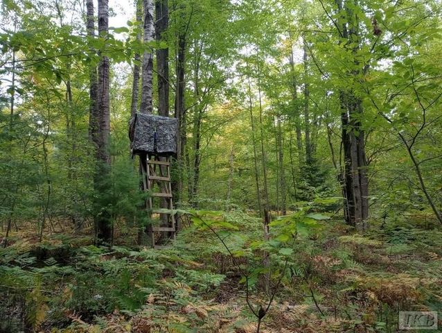 1701 S River Road, Beaverton, MI 48612