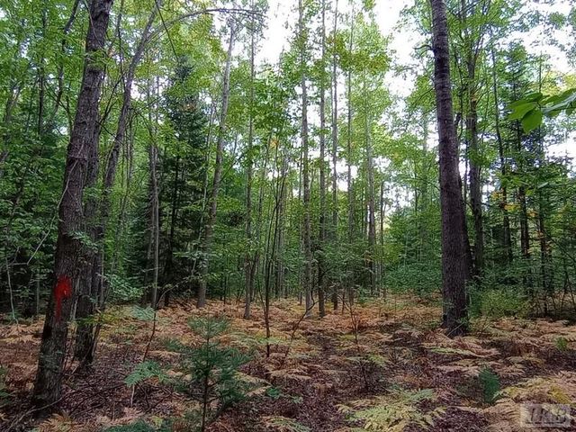 1701 S River Road, Beaverton, MI 48612