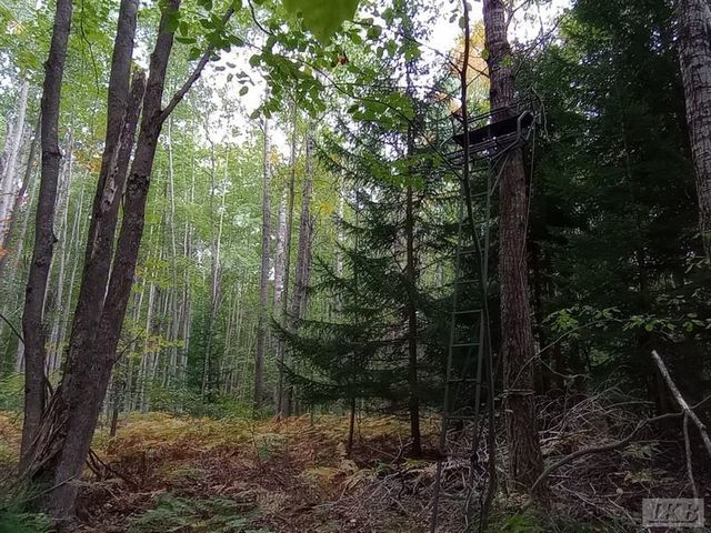 1701 S River Road, Beaverton, MI 48612