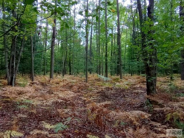 1701 S River Road, Beaverton, MI 48612