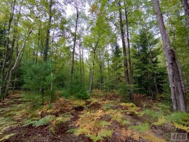 1701 S River Road, Beaverton, MI 48612