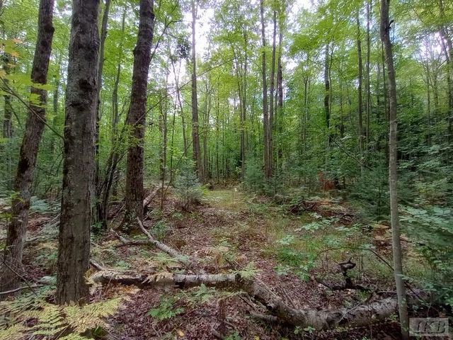 1701 S River Road, Beaverton, MI 48612