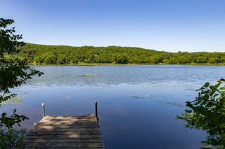 31 Lake Shore Drive, Pine Plains, NY 12567