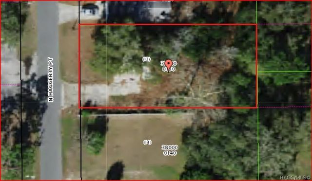 1195 N Haggerty Point, Crystal River, FL 34429