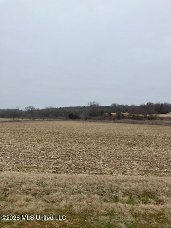 9002 Lot 3 Hudson Road, Hernando, MS 38632 — exterior