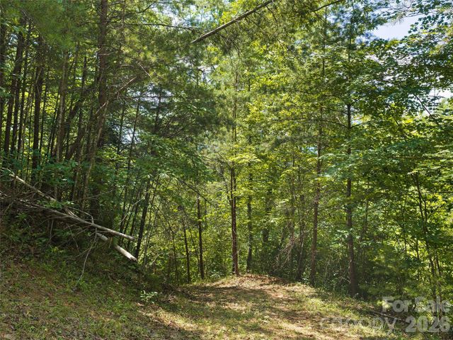 Lot 3 Loggers Pass Lane, Mill Spring, NC 28756