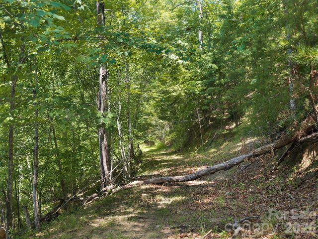 Lot 3 Loggers Pass Lane, Mill Spring, NC 28756
