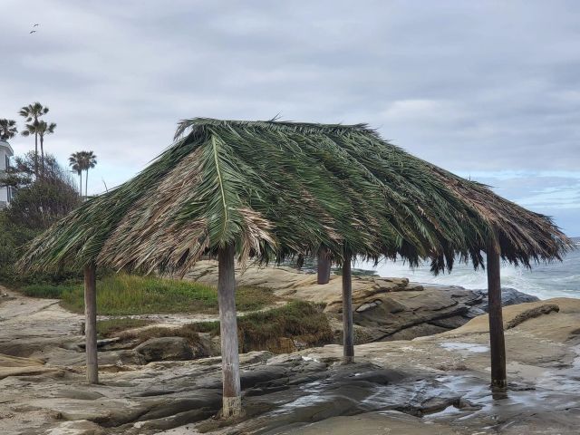 607 Arenas, La Jolla, CA 92037