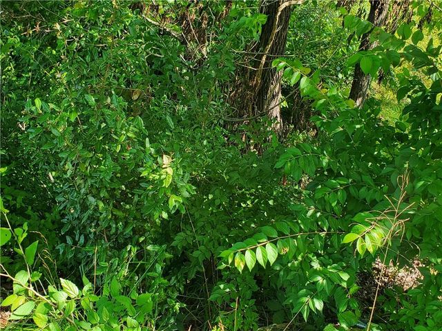 7564 Ball Ground Highway, Ball Ground, GA 30107