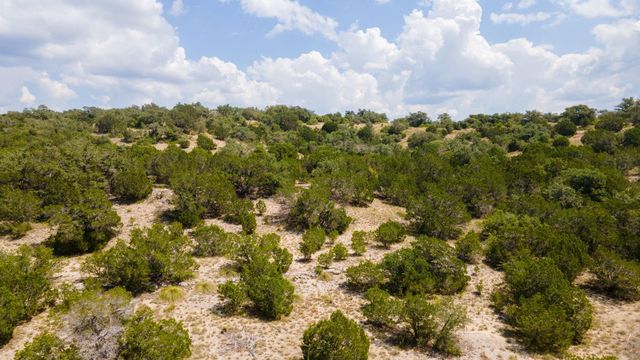 21114 Bertram LN, Spicewood, TX 78669