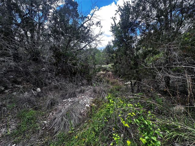 21114 Bertram LN, Spicewood, TX 78669