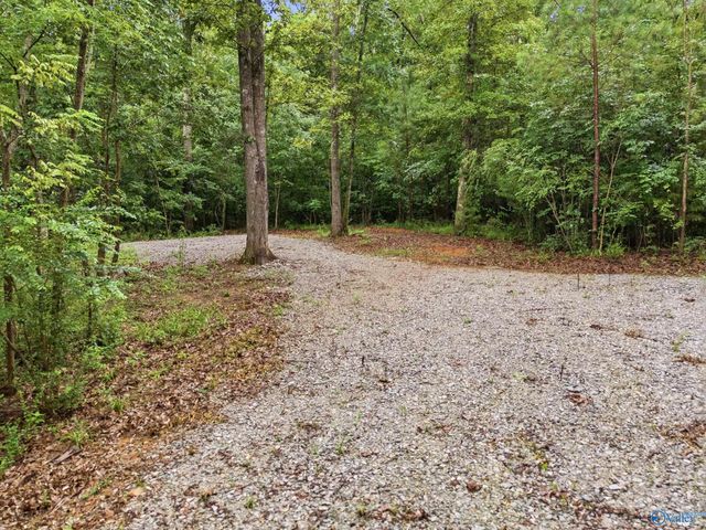 773 Mccutcheon Loop Road, Laceys Spring, AL 35754