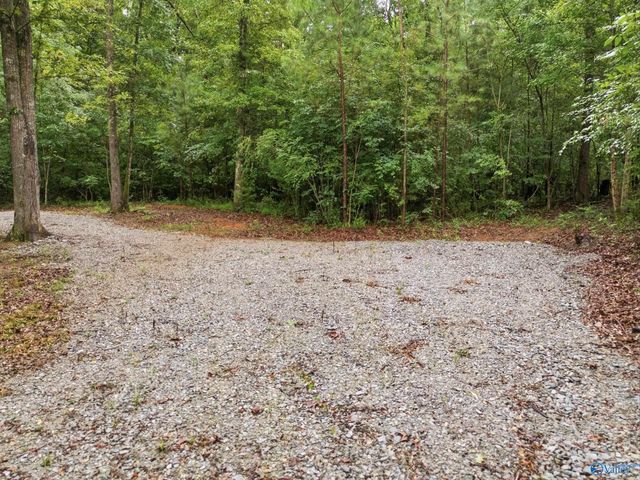 773 Mccutcheon Loop Road, Laceys Spring, AL 35754