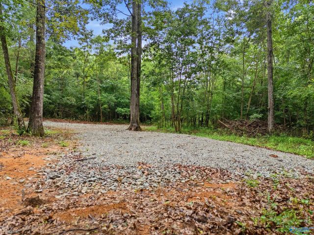 773 Mccutcheon Loop Road, Laceys Spring, AL 35754