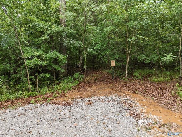 773 Mccutcheon Loop Road, Laceys Spring, AL 35754