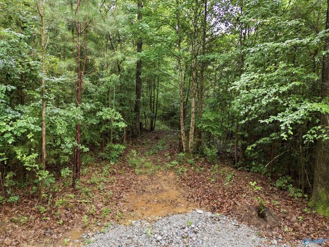 773 Mccutcheon Loop Road, Laceys Spring, AL 35754