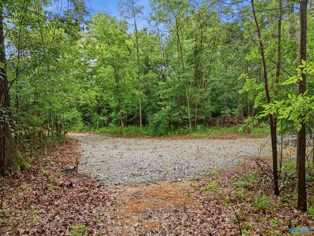 773 Mccutcheon Loop Road, Laceys Spring, AL 35754