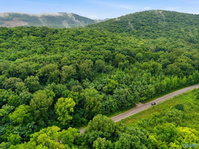773 Mccutcheon Loop Road, Laceys Spring, AL 35754
